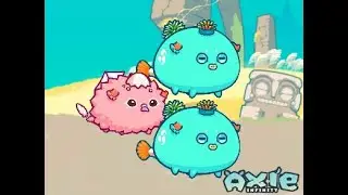 Double Anemone Aqua Bird(AAB) Gameplay | Axie Infinity