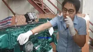 Sinotruk WD615 marine engine--Sinooutput