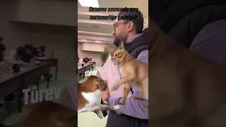 Deneme Sınavında Kimler B&ouml;yle? | #merthoca
