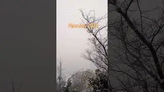 2022 snowfall#snowfall video #shortvideo #nature @PreetiOfficial-e5w3n