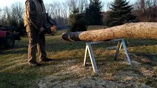 PIONEER P42 Hi Performance Chainsaw