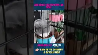Dog Crate Water Bowl No Spill #shorts