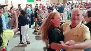 Marcha - Matine: Grupo de idosos Reviver Bairro Zanrosso Chapeco   SC