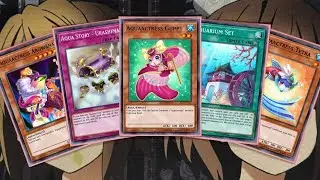 Мой профиль колоды Aquaactress Yugioh на октябрь 2024 г.