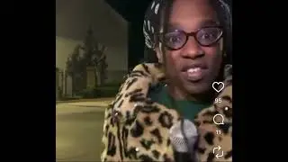 Mood: Not a Bitch was found! They all hiding in the comments
