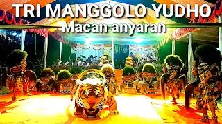 Kuda Kepang Warok TMY Kalikidang Teka Macan Anyaran