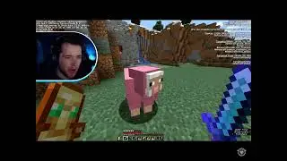 Dantdm find a 0.164% natural pink sheep