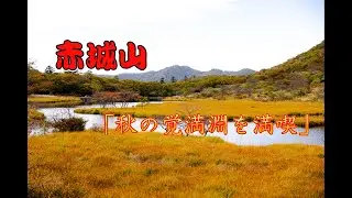 赤城山「秋の覚満淵を満喫」