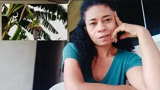 As novidades aqui na minha casa não param de acontecer 🙏