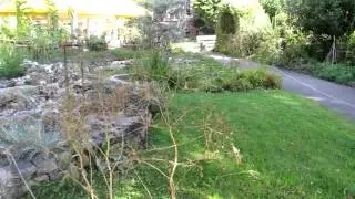 Alpine Gardens at Basel University Botanical Garden