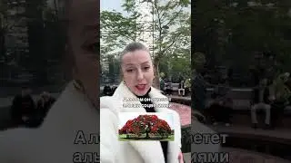 Самое дорогое дерево по цене двухкомнатной квартиры