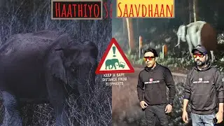 Wildlife ka Aghaz | हाथियों से सावधान  | Jim Corbett National Park  #elephant #tiger