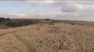 Weekend Walk 11 - West Meon to East Meon (South Downs Way)