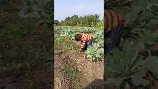 Smart Farming Solutions for Kisan Prosperity! #kisan
