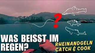 Angeln am Rhein bei Regen - Welche Fische bei&szlig;en? | Catch&Cook