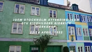 IGEM STOCKHOLM ATTENDING TEAM DTU BIOBUILDERS BIOBRICK WORKSHOP