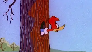 Woody Defends His Home | Woody Woodpecker
