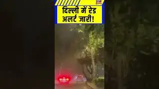 दिल्ली में रेड अलर्ट जारी! | Delhi-NCR Weather Update | Wind Alert | Rain Alert | Short