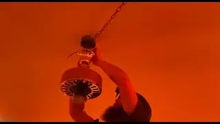 Video of the Day #37