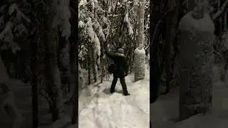 С новым Годом !!!