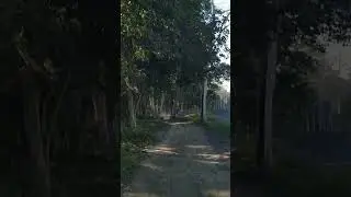 Kaziranga core area.