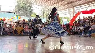 Actuales campeones nacionales Adulto Vendimia de Cauquenes - 05/10/24 - R.V. de C. Adulto y Senior