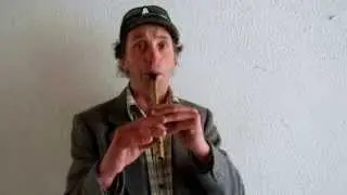 Patrick Fox: Musician