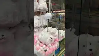This claw machine is impossible 😭