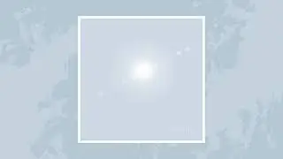 Moth Collector - Stillness