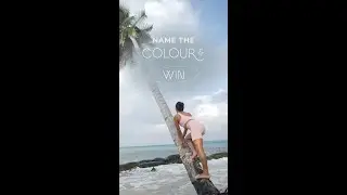 Name it to Win it!