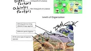Benchmark   Population and Communities