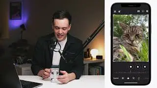 Mastering iPhone Pet Photography in 60 Minutes: Editing Pet Photos