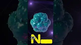 The 'N' Song 🎶 | Fun ABC Learning Short | Learn 'N' Words for Kids | #abcd #kids #shorts #viralvideo