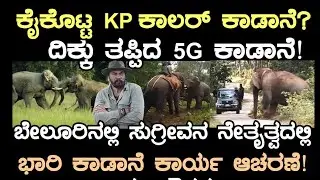 ನಡು ರಸ್ತೆಯಲ್ಲಿ ಕೈಬಿಟ್ಟ KP ಕಾಲರ್ ಕಾಡಾನೆ ದಿಕ್ಕು ತಪ್ಪಿದ5G?ಕಾಡಾನೆ ಭೀಮನಿಂದ ದೂರ! ಕಾಡಾನೆ ಅರಣ್ಯ ಇಲಾಖೆ ಬಲೆಗೆ 