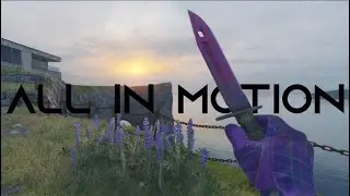 All in Motion