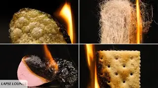 Burning Things Close Up , A Slow Burn Macro Compilation - Lapse Lounge Short