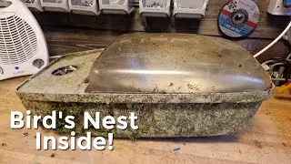 Extremely Gross Philips SGS201 Streetlight Clean Up!