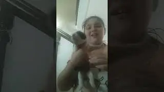 cucciolina