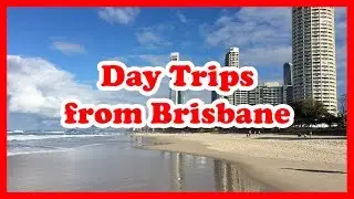 5 Top-Rated Day Trips from Brisbane, Queensland | Australia Day Tours Guide