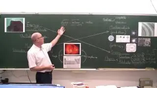 The Second Law of Thermodynamics and Life