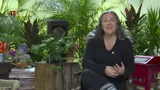Ana Francis Mor en La 4TV