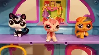 The girl that can change her appearance part 1#lps 
