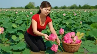 Harvesting Lotus Pods & Flowers &ndash; Cooking Sweet Soup, Roasted Seeds & Lotus Cake by Hand