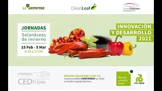 Jornadas Solan&aacute;ceas de Invierno