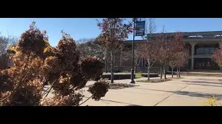 Fall at Ammerman Campus