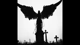 [FREE] Supertrap + Ken Carson 