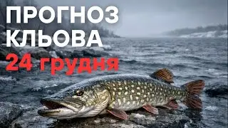 Прогноз кльова на 24 грудня 2025 | Календар рибалки