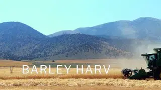 Barley Harvest