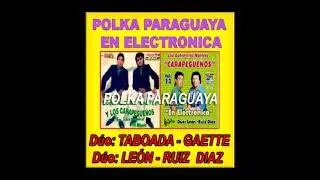 Los Auténticos Nativos Carapegueños & Los Nuevos Carapegueños