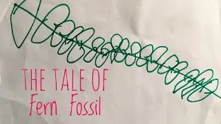 Fern Fossil Story
